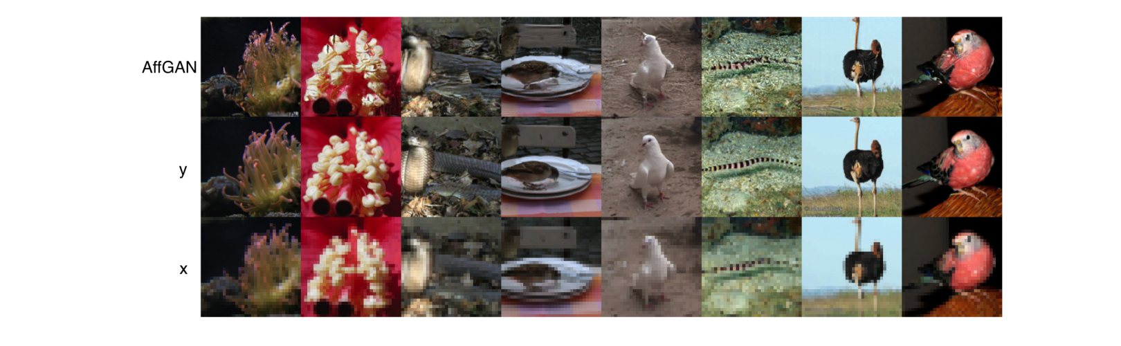 Figure 5 ImageNet 自然图像