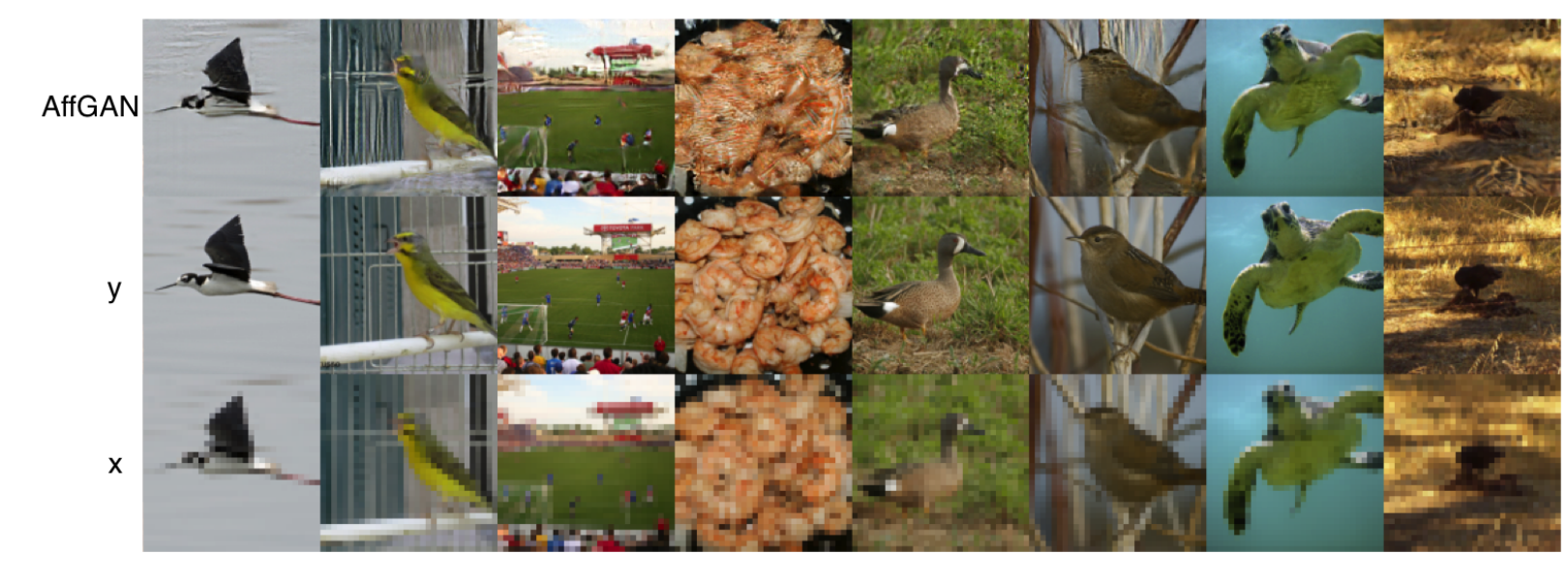 Figure 8 AffGAN ImageNet 更多结果